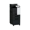 Develop ineo+ 4050i - 2x PF-P20, DK-P04x